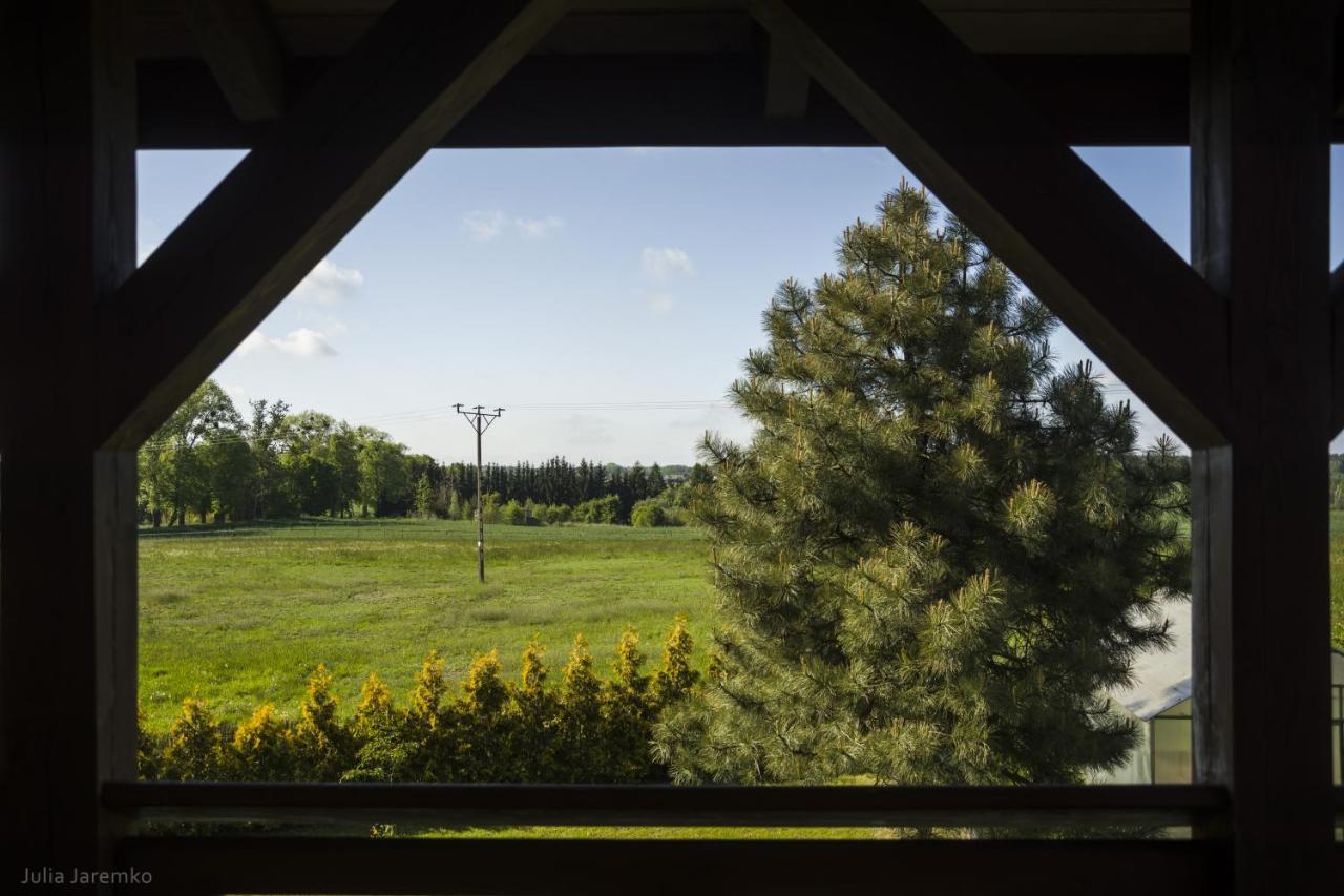 Lesne Zacisze Villa Ilawa Exterior photo