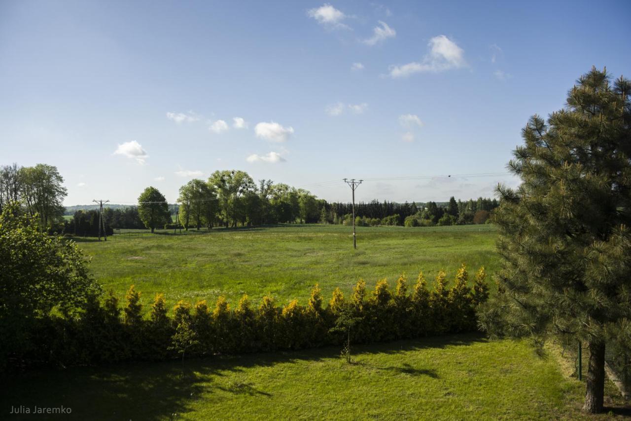 Lesne Zacisze Villa Ilawa Exterior photo